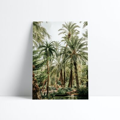 POSTER 30X40-Elche jungle