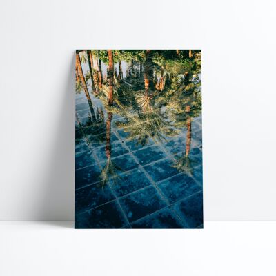 POSTER 30X40-Pool of the winter Palace