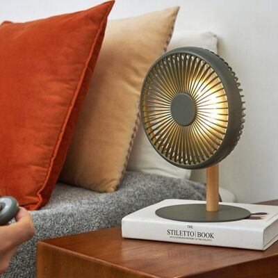 Fan with light and remote control