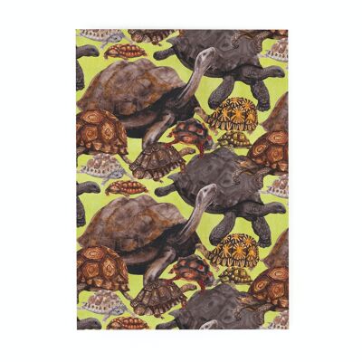 Creep Of Tortoises Print Postcard