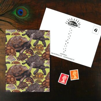 Creep Of Tortoises Carte postale 3