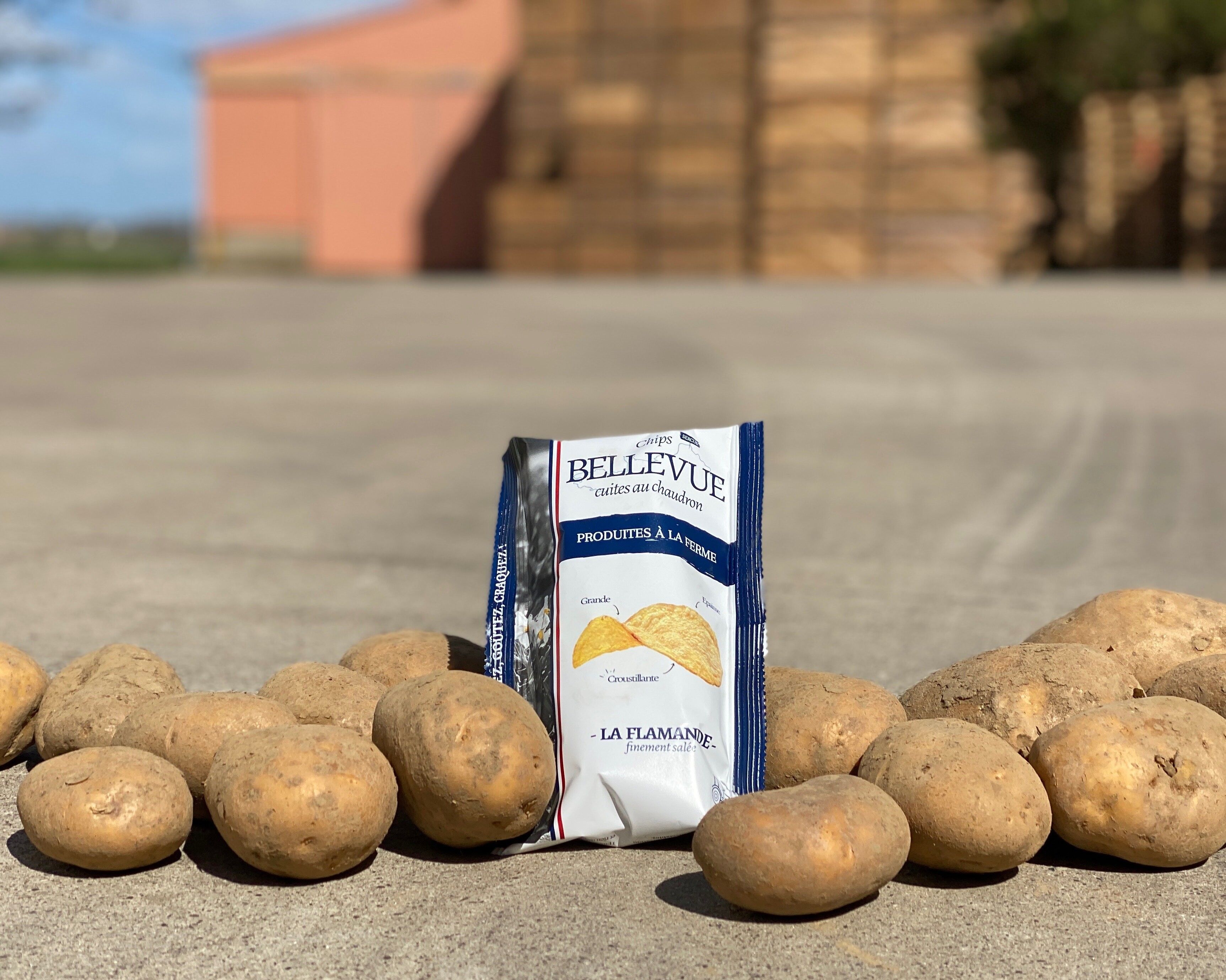 Farmhouse chips with salt from the Ile de Ré - LA FLAMANDE - 30g