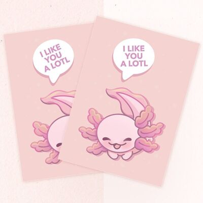Je t'aime beaucoup | Carte postale A6 Axolotl | Carte de voeux | Décoration d'intérieur | art mural | miamouz