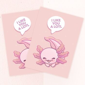 Je t'aime beaucoup | Carte postale A6 Axolotl | Carte de voeux | Décoration d'intérieur | art mural | miamouz 1