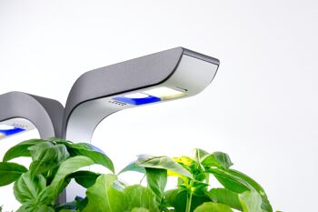 Véritable® CONNECT Infinity Grey - Potager d'Intérieur Autonome 3