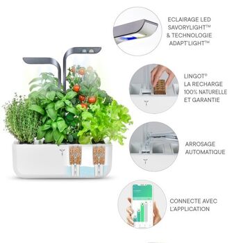 Véritable® CONNECT Infinity Grey - Potager d'Intérieur Autonome 4