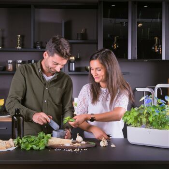 Véritable® CONNECT Infinity Grey - Potager d'Intérieur Autonome 5