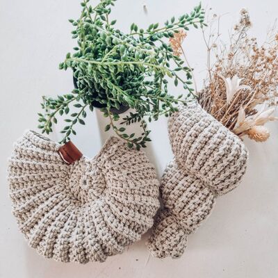 bohemian style “shell” decorative basket, ammonites S