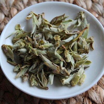 Puer Tee Weiße Knospe Ya Bao - 10 g