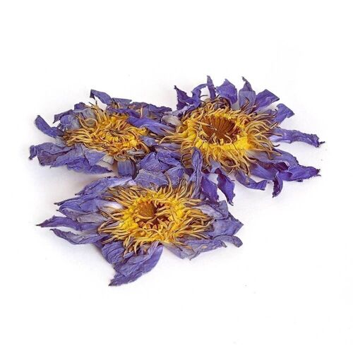 Fiore di Loto Blu Essiccato - 3 pezzi
