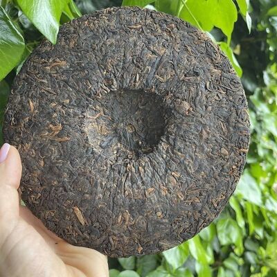 Puer Shu Tee (gekocht) Growing Aroma 2019 Kuchen 10 g