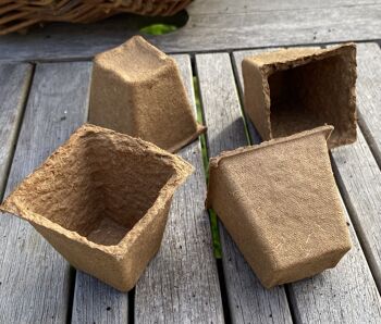 Nutley's Pots de plantes carrés biodégradables et en fibre de bois organique de 6 cm - 800 7