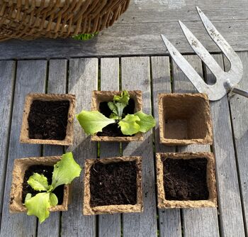 Nutley's Pots de plantes carrés biodégradables et en fibre de bois organique de 6 cm - 800 8