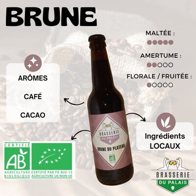 Cerveza Marrón Orgánica Du Plateau Stou
