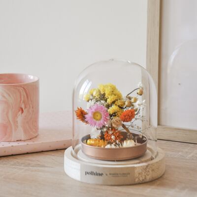 Cloche of dried flowers - Small