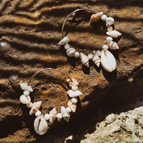 Cowrie Shell Gold Hoops