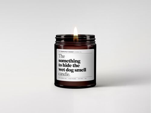 Funny Scented Candle - Soy Wax - 180ml - 6oz - Gifting (something to hide the wet dog smell)