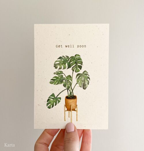 Monstera get better card