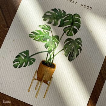 Monstera obtient une meilleure carte 3