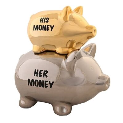 DOLOMITE MONEY BOX 17X12X18,5 SILVER PIG HU203363