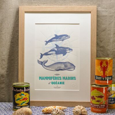 Affiche Letterpress Mammifères Marins d'Océanie, A4, mer, poisson, été, vintage, bleu, turquoise