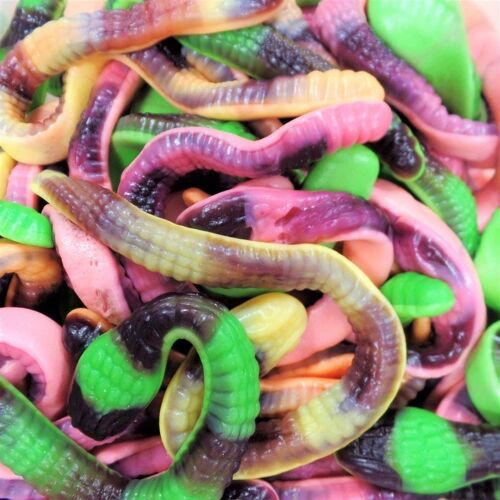 Bonbons Pit le python - Serpent - Lot de 4