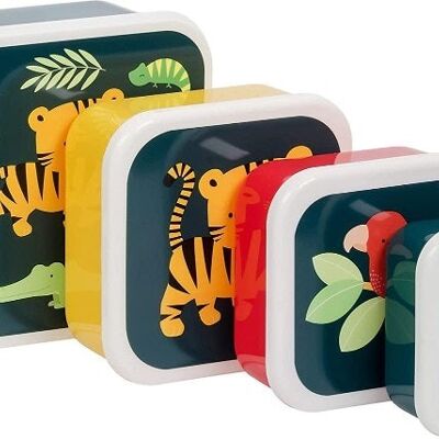 SET DE 4 CAJAS TIGRE LITTLE LOVELY