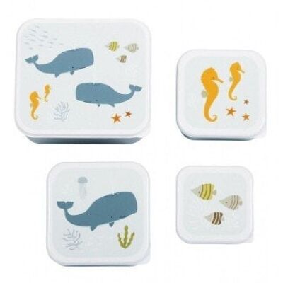 SET DE 4 CAJAS OCEANO LITTLE LOVELY