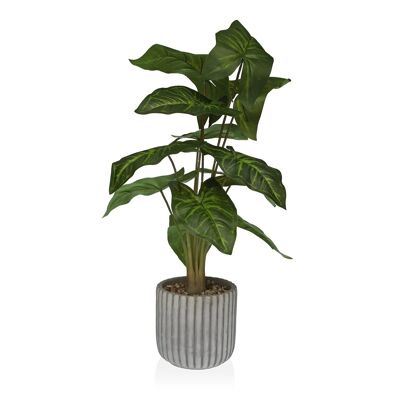 PLANT IN PAPER MACHE POIT 22410007