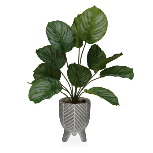 PLANT IN PAPER MACHE POIT 22410010