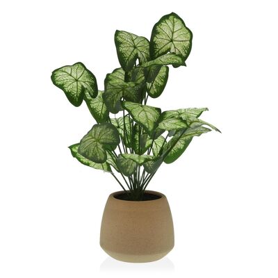 PLANT IN PAPER MACHE POIT 22410008