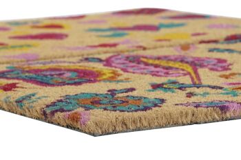 PAILLASSON EN FIBRE DE COCO CAOUTCHOUC 60X40X1,5 PASLEY 2 ASSORTIS. FL192667 3