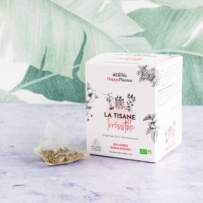 Infusion the Irresistible floral Tonus Digestion frozen, individual sachet