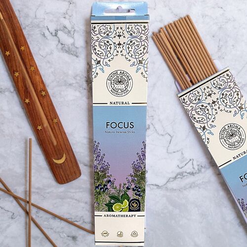Focus Natural Incense Stick/Agarbatti | No charcoal