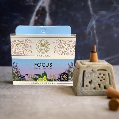 Focus | Natural Incense Cones | No charcoal