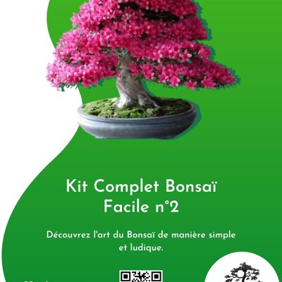 Kit Complet Bonsaï Facile n°2