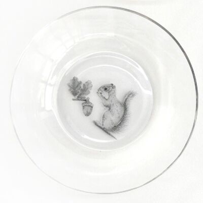 children's tableware, Squirrel soup plate