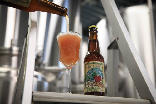 Bière - Gose - PUPU Cerise Vanille - Collab IceBreaker