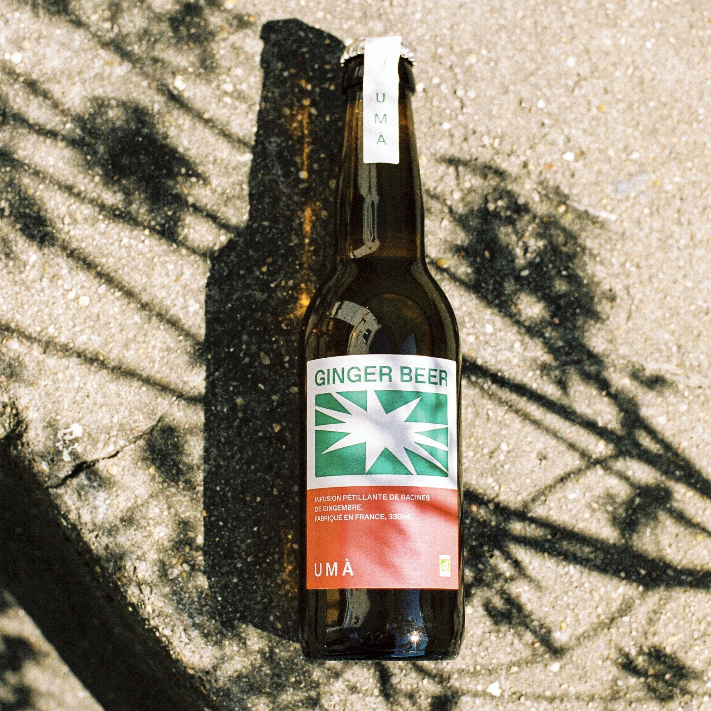 Ginger beer bio - 12x33cl