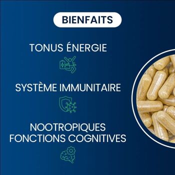 Complexe vitamines B 4