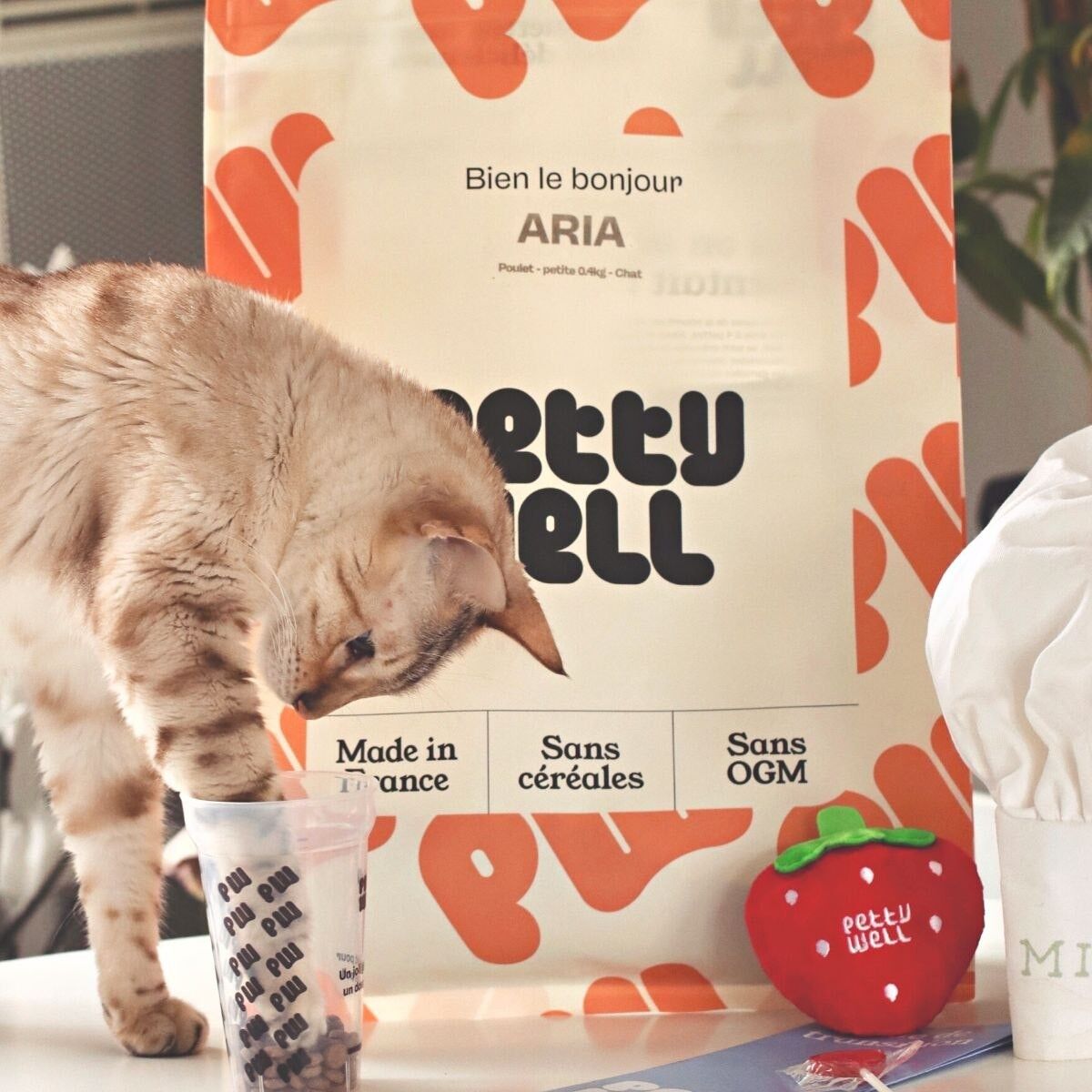 Trockenfutter für Katzen – 6 kg – getreidefreies Huhn und Truthahn