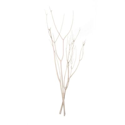 Branche de mitsumata 3 branches blanc naturel H90cm