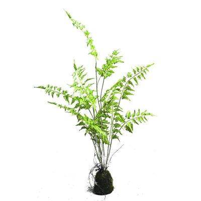 Fougère kokedama mm 107cm artificielle