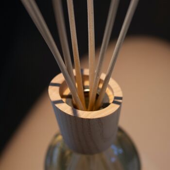Fabriqué en Italie Diffuseur à roseau Parfum de maison 100-250-500 ml Diffuseur de feuilles de bambou pour l'environnement 5