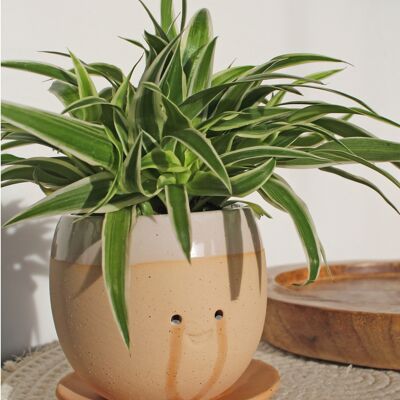 Crying Pot ceramic flower pot