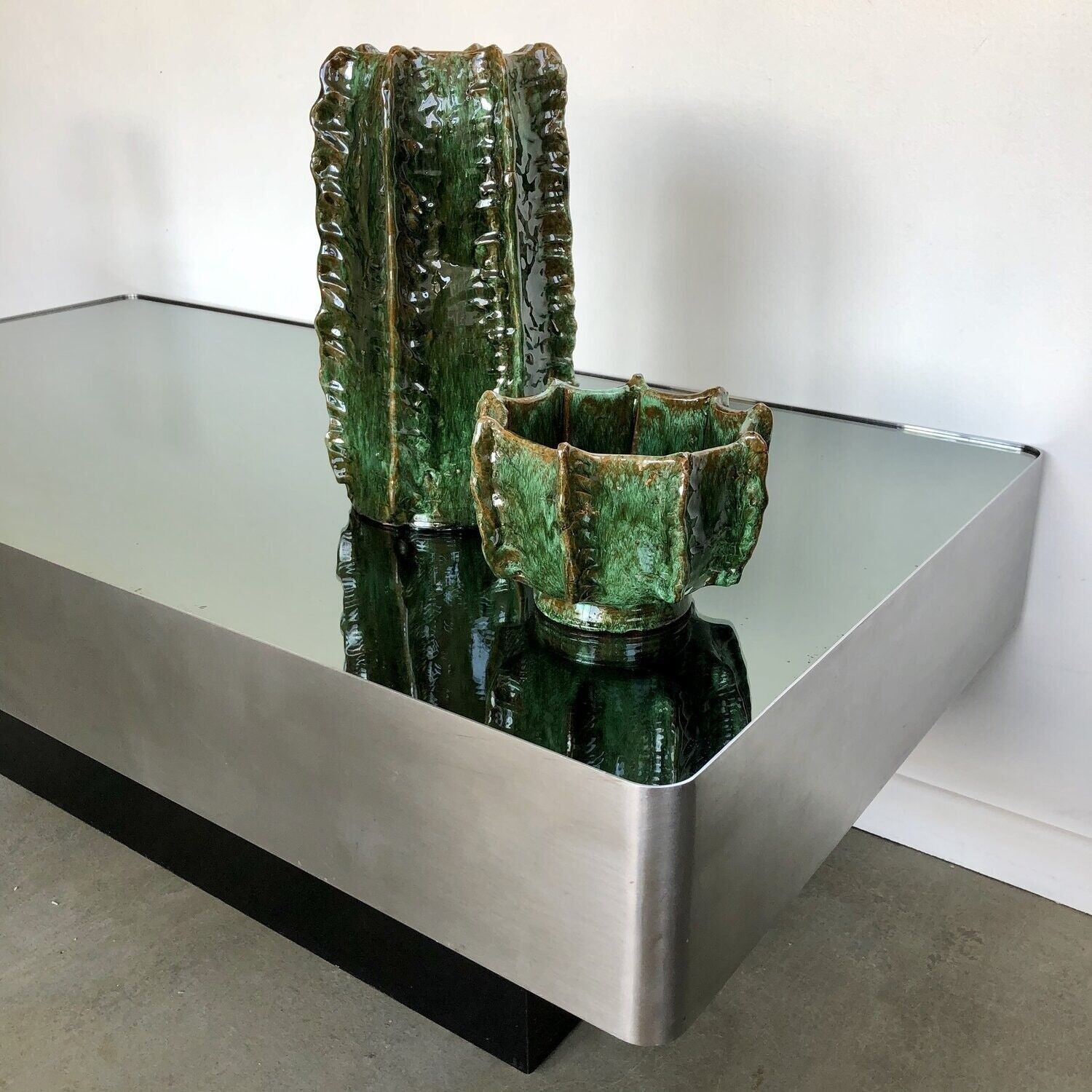 Vaso di cactus verde