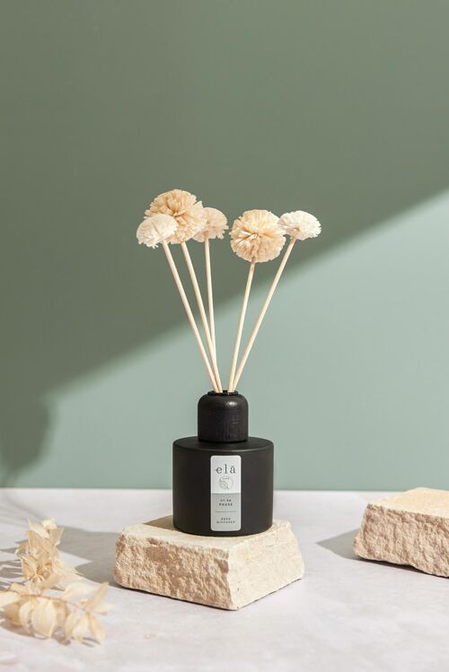 Pause No 3a Pom Pom Diffuser