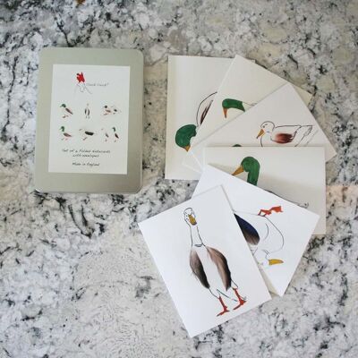 Duck Set of 6 cards in a tin