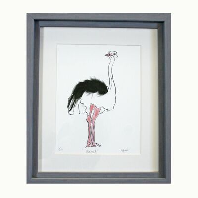 Ostrich Feather Print - Framed