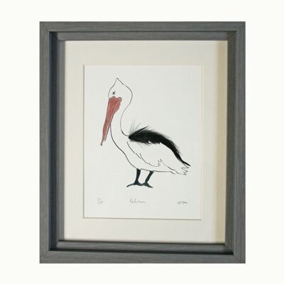 Pelican Feather Print - mounted